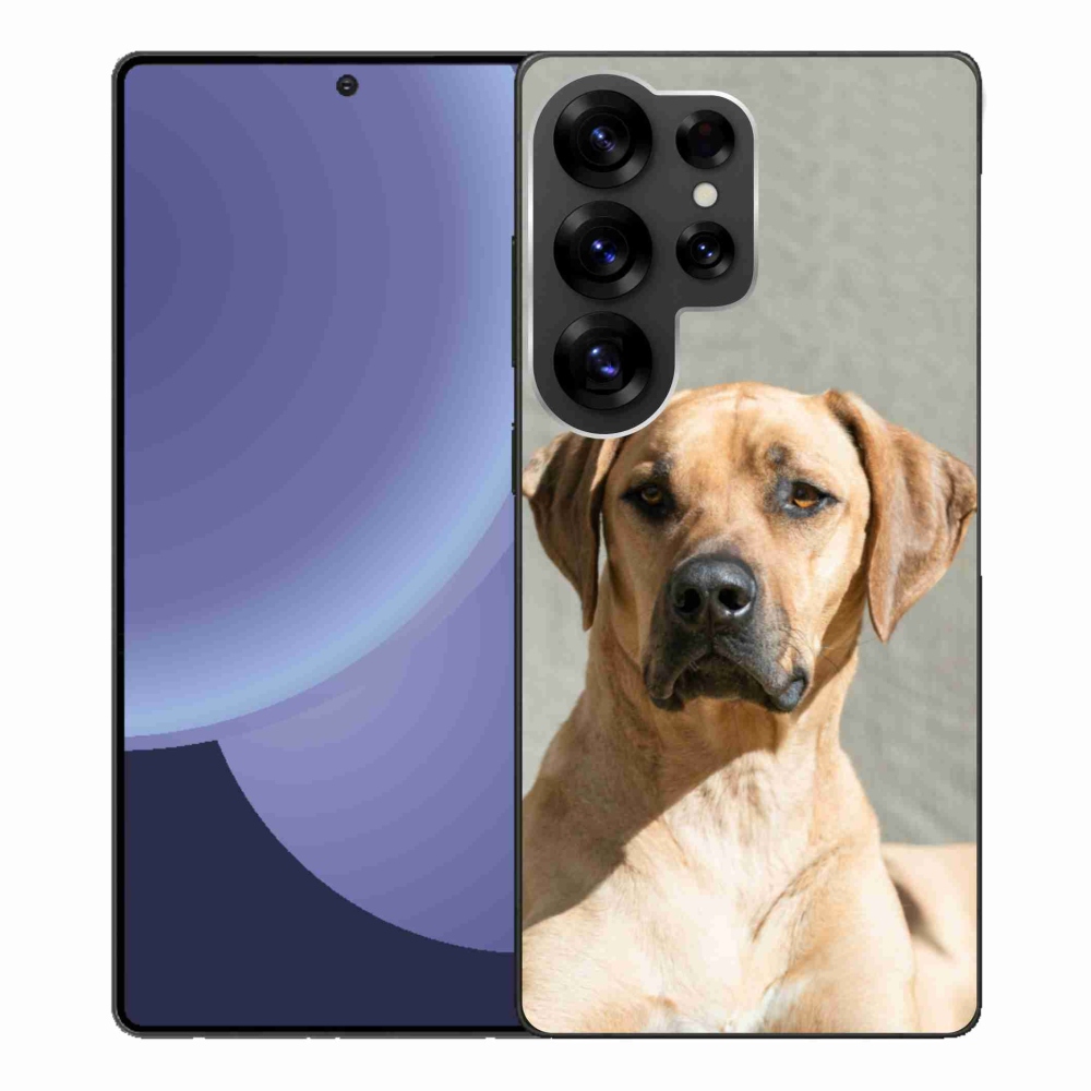 Gelový kryt mmCase na Samsung Galaxy S25 Ultra - ridgeback