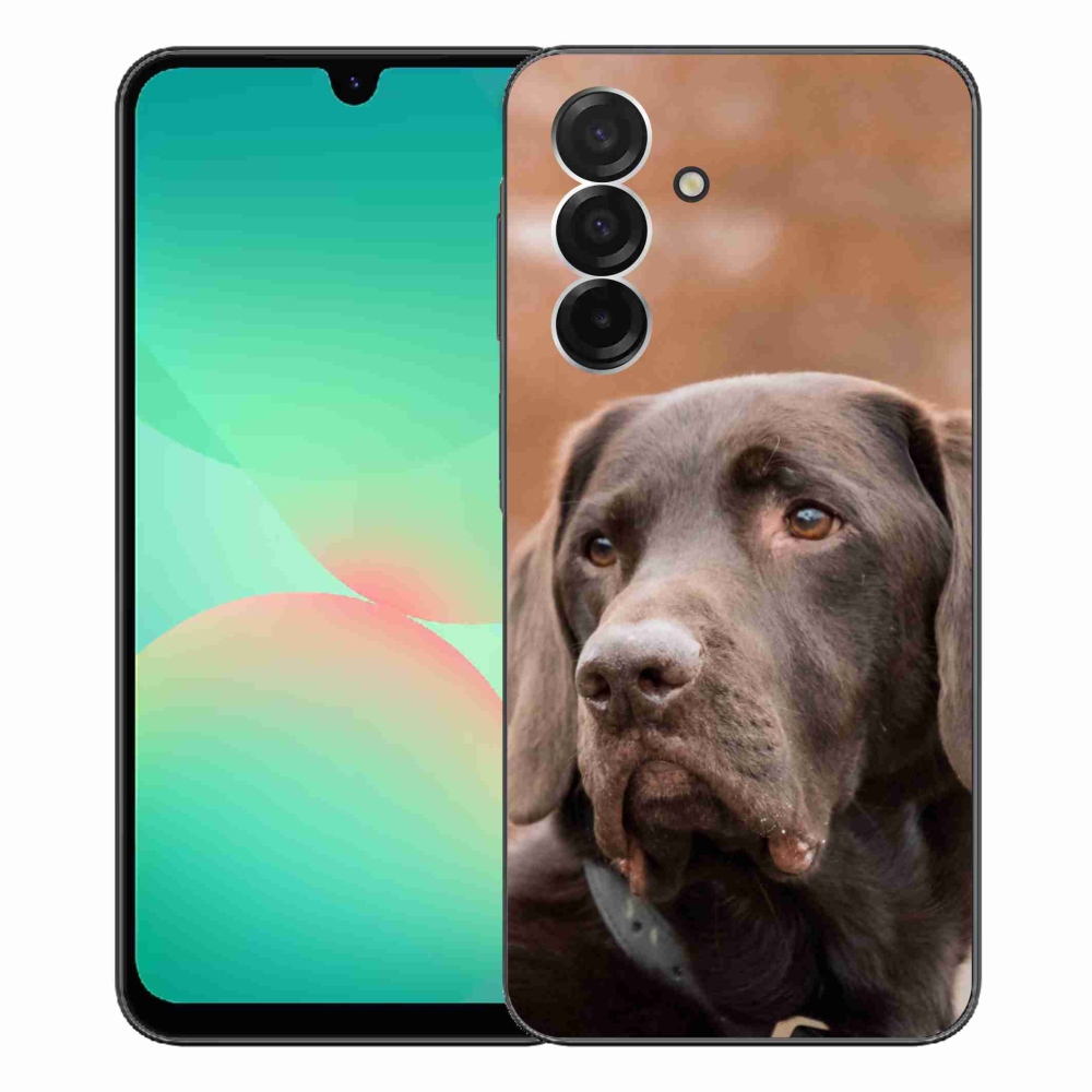 Gelový kryt mmCase na Samsung Galaxy A26 5G - hnědý labrador