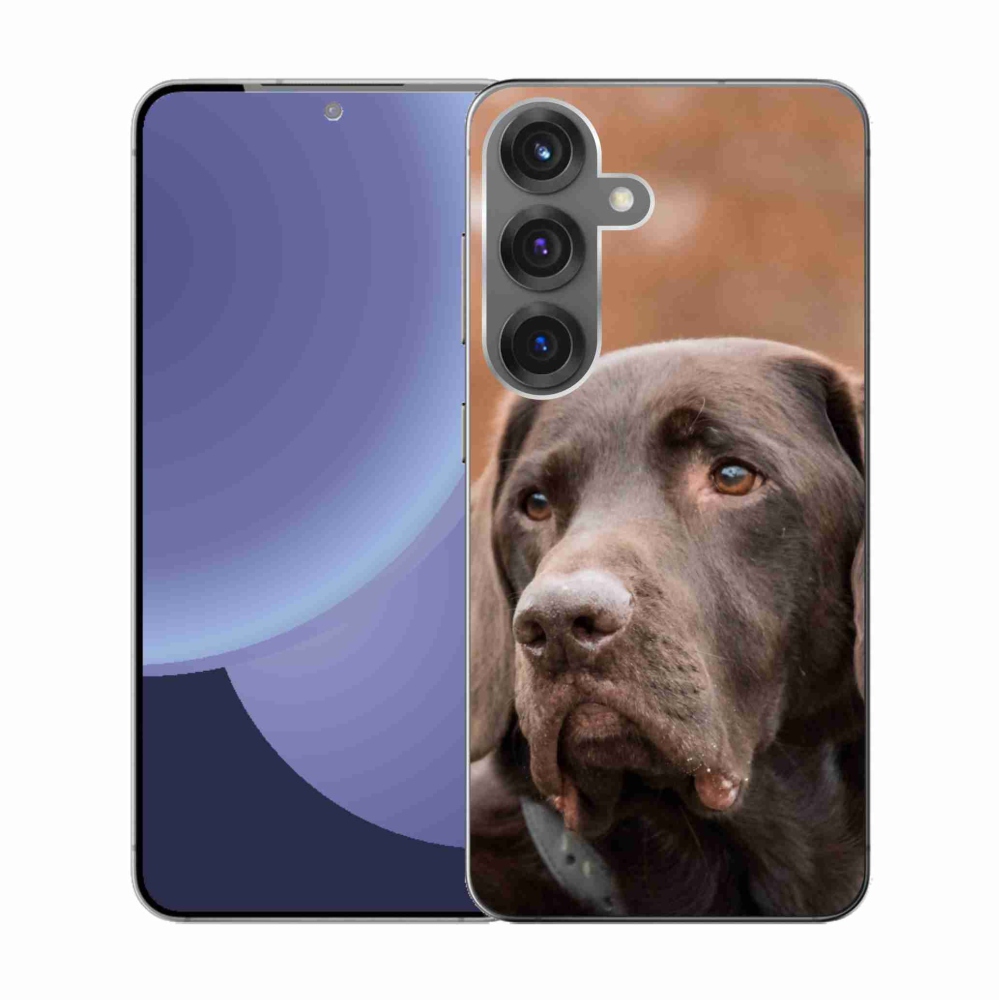 Gelový kryt mmCase na Samsung Galaxy S25 - hnědý labrador