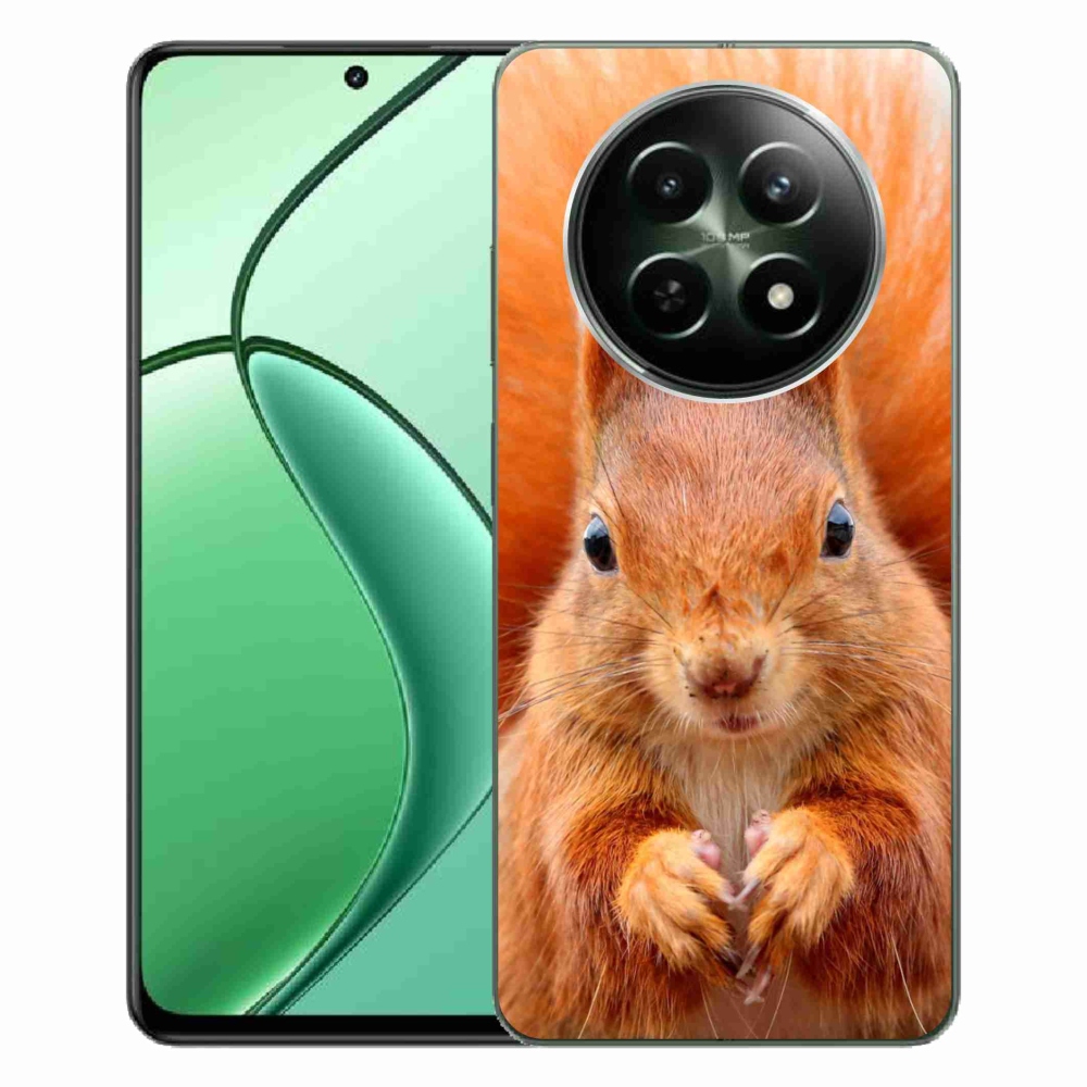 Gelový kryt mmCase na Realme 12 5G/12x 5G - veverka