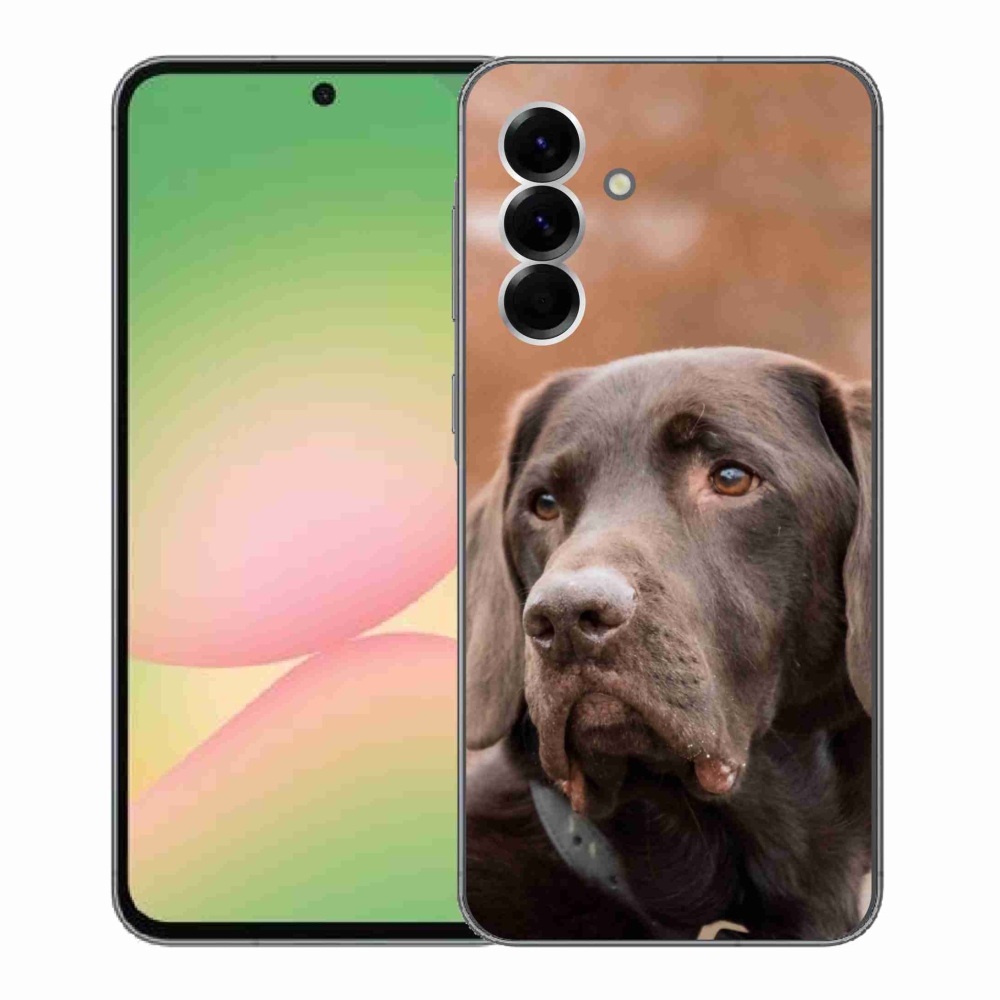 Gelový kryt mmCase na Samsung Galaxy A56 5G - hnědý labrador