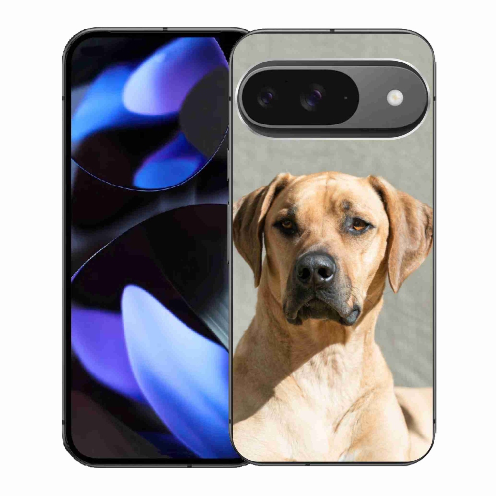 Gelový kryt mmCase na Google Pixel 9/9 Pro - ridgeback