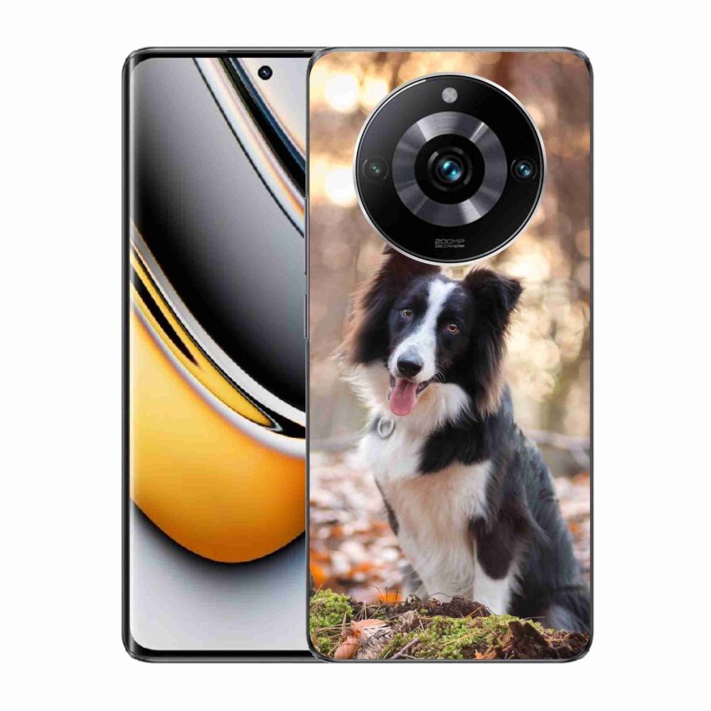 Gelový obal mmCase na Realme 11 Pro/11 Pro+ - border kolie 1