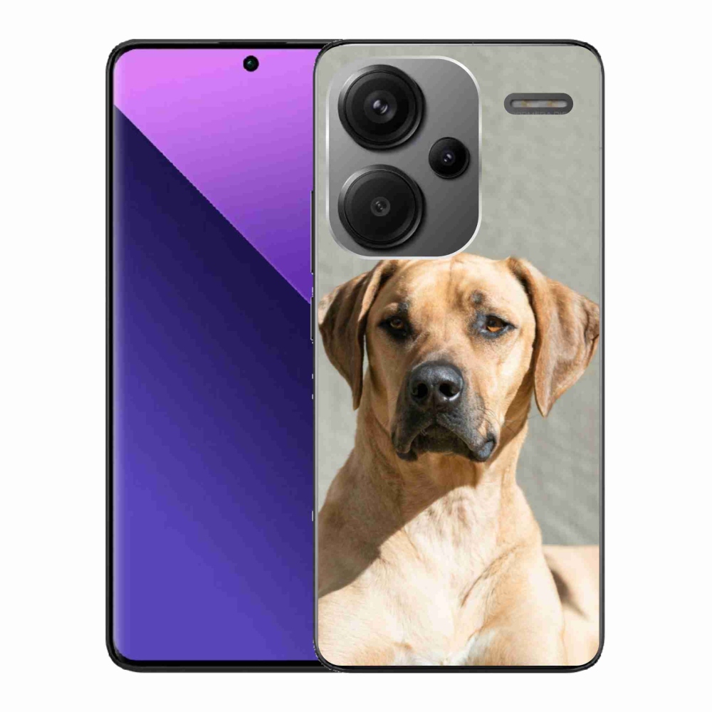 Gelový kryt mmCase na Xiaomi Redmi Note 13 Pro+ 5G - ridgeback