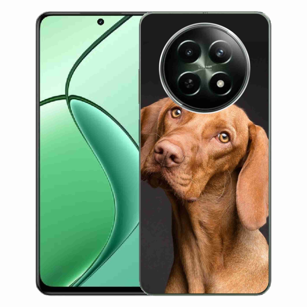 Gelový obal mmCase na Realme 12 5G/12x 5G - maďarský ohař