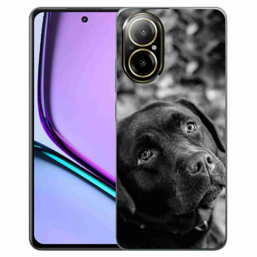 Gelový obal mmCase na Realme C67 - labrador