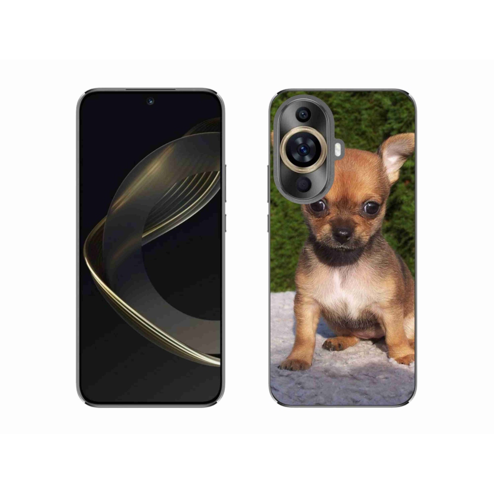 Gelový obal mmCase na Huawei Nova 11 - čivava 3