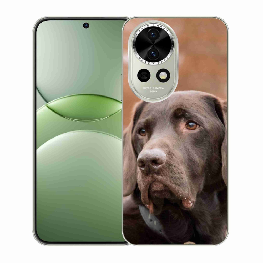 Gelový kryt mmCase na Huawei Nova 13 5G - hnědý labrador