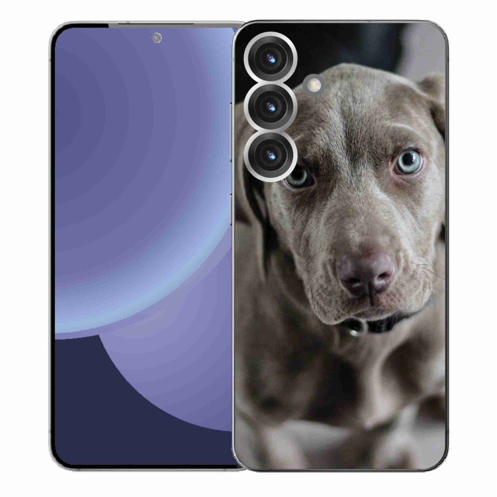Gelový kryt mmCase na Samsung Galaxy S25+ - výmarský ohař