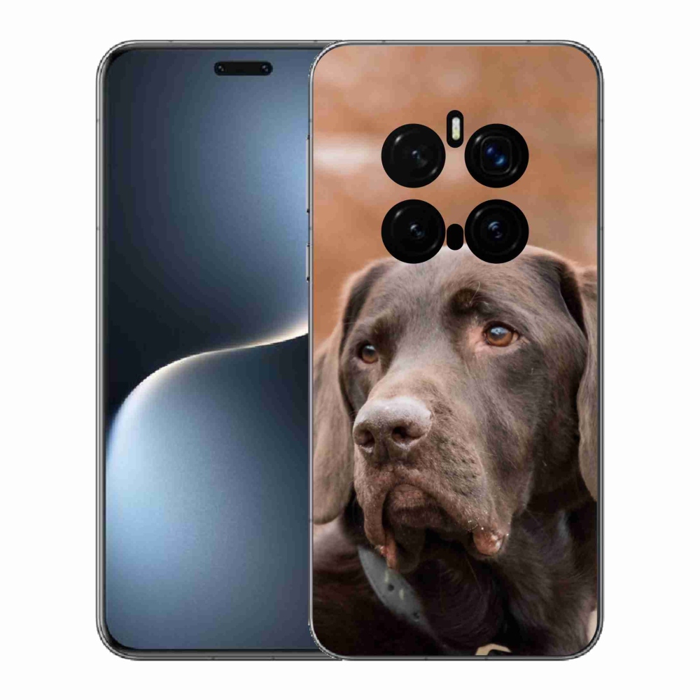 Gelový kryt mmCase na Honor Magic 7 Pro 5G - hnědý labrador