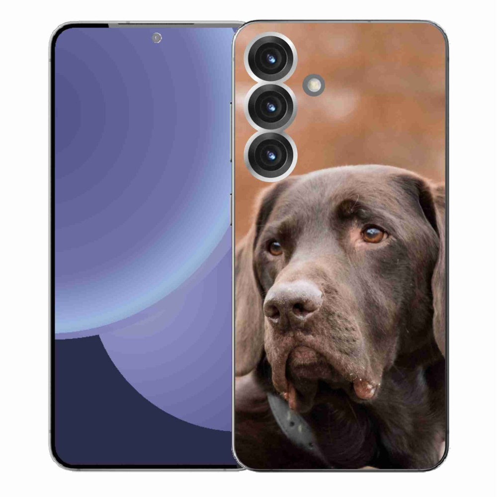 Gelový kryt mmCase na Samsung Galaxy S25+ - hnědý labrador
