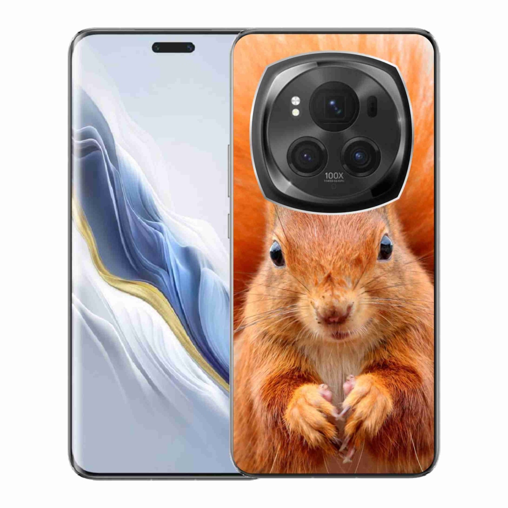 Gelový kryt mmCase na Honor Magic 6 Pro 5G - veverka