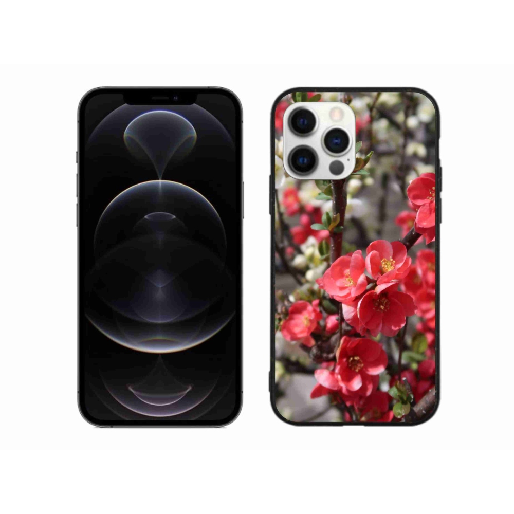 Gelový kryt mmCase na iPhone 12 Pro Max - červené květy