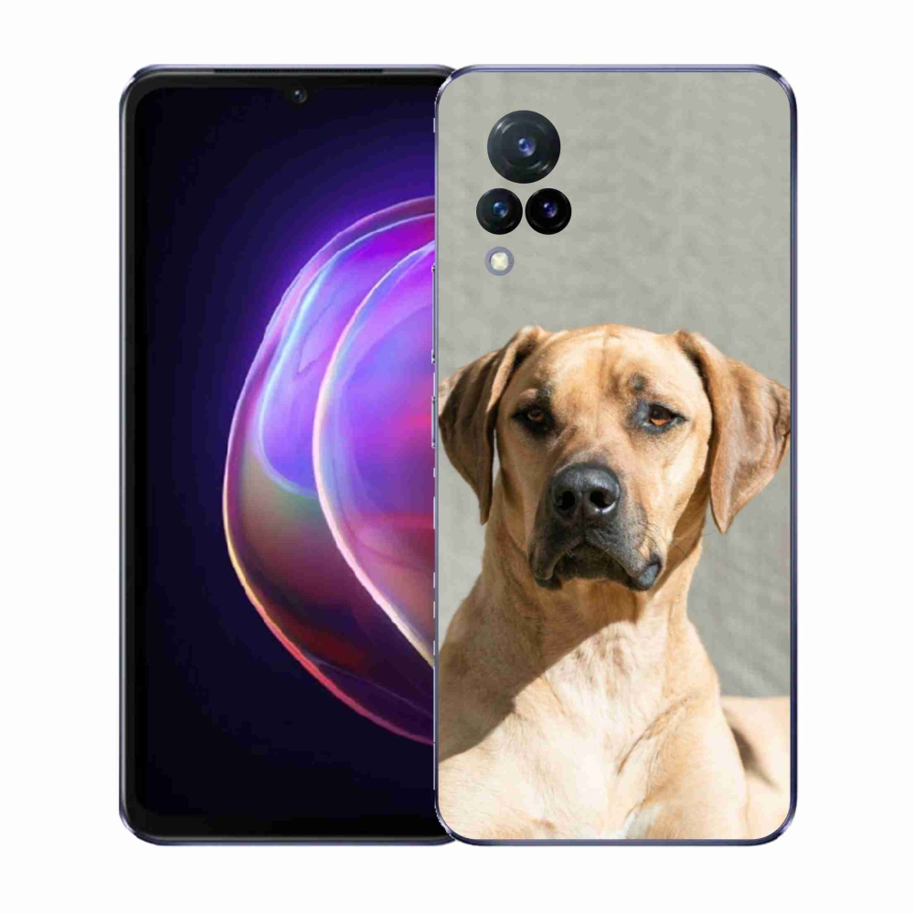 Gelový kryt mmCase na Vivo V21 4G/5G - ridgeback