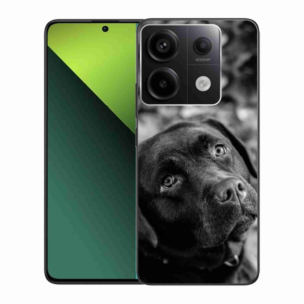 Gelový obal mmCase na Xiaomi Redmi Note 13 Pro 5G/Poco X6 5G - labrador