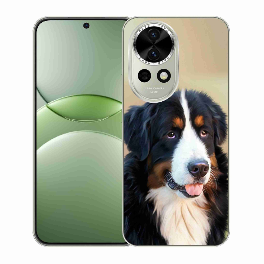 Gelový kryt mmCase na Huawei Nova 13 5G - bernský salašnický pes
