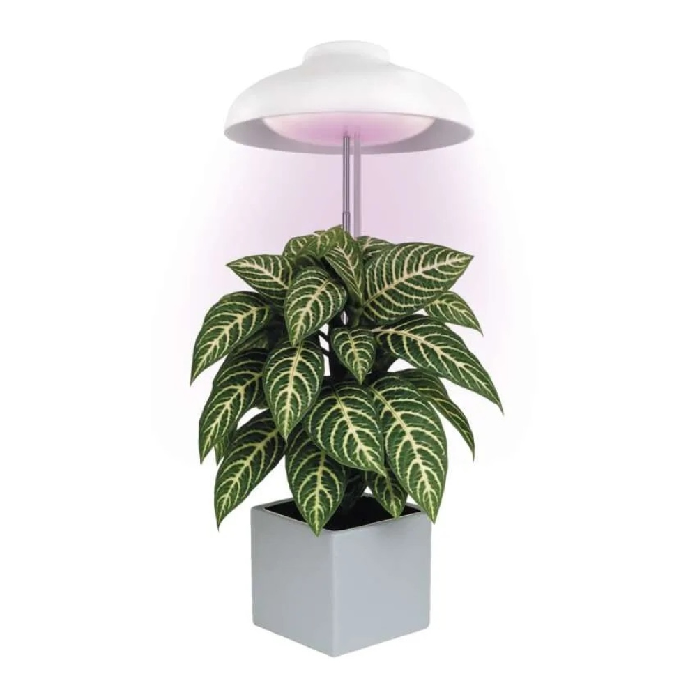 LED GROW pěstební lampa 5 W, časovač - bílá
