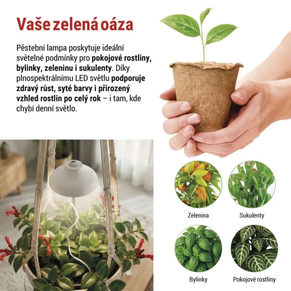 LED GROW pěstební lampa 5 W, časovač - bílá