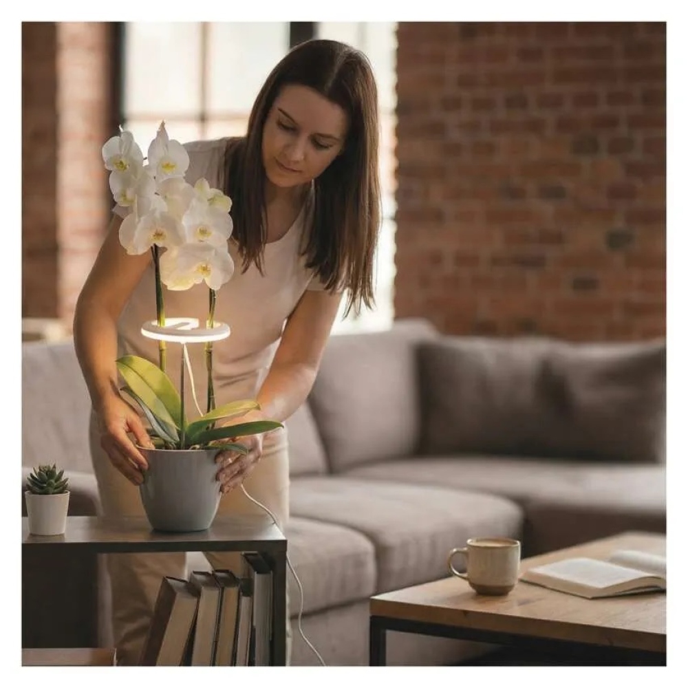 LED GROW pěstební lampa 8 W, časovač, stmívatelná - bílá