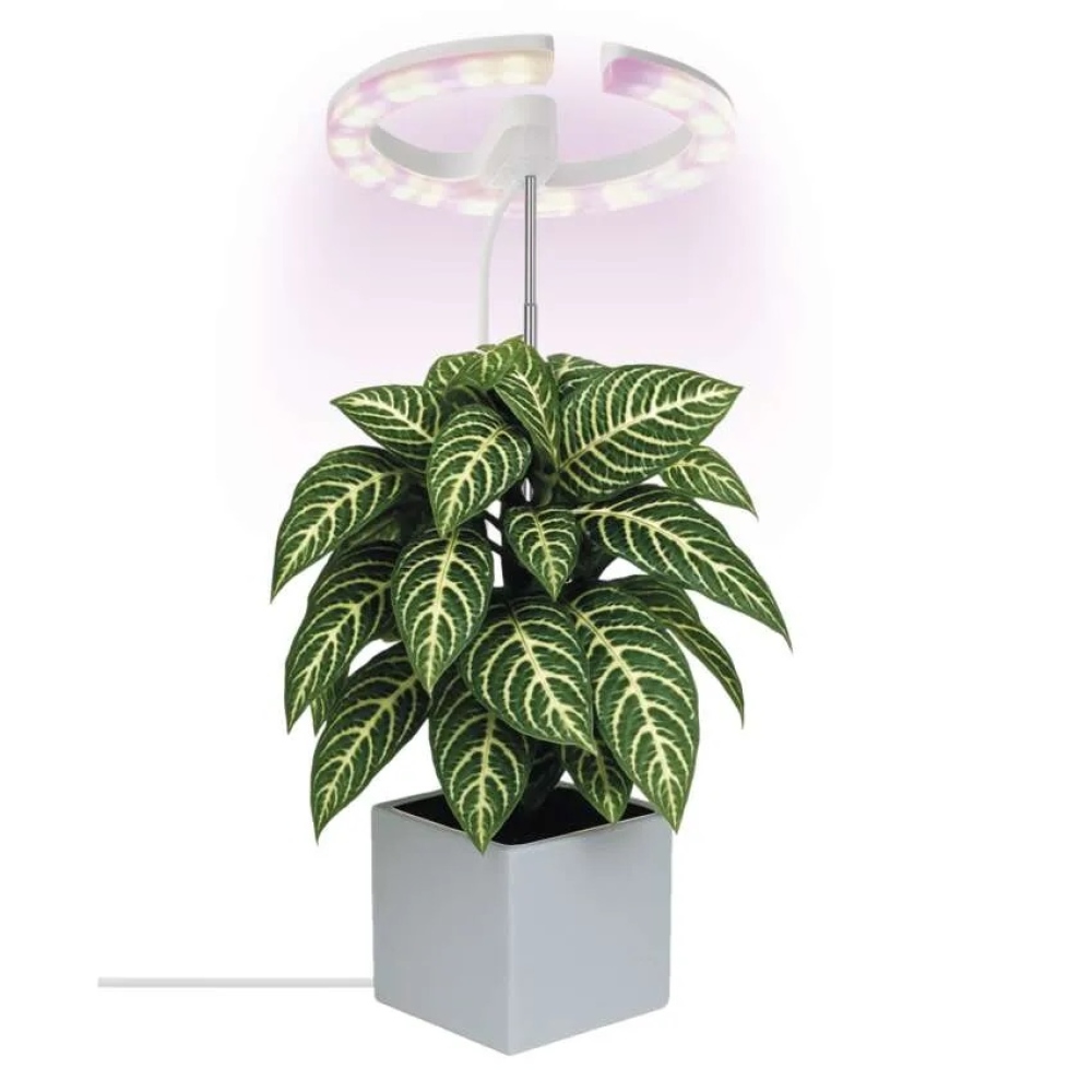 LED GROW pěstební lampa 8 W, časovač, stmívatelná - bílá