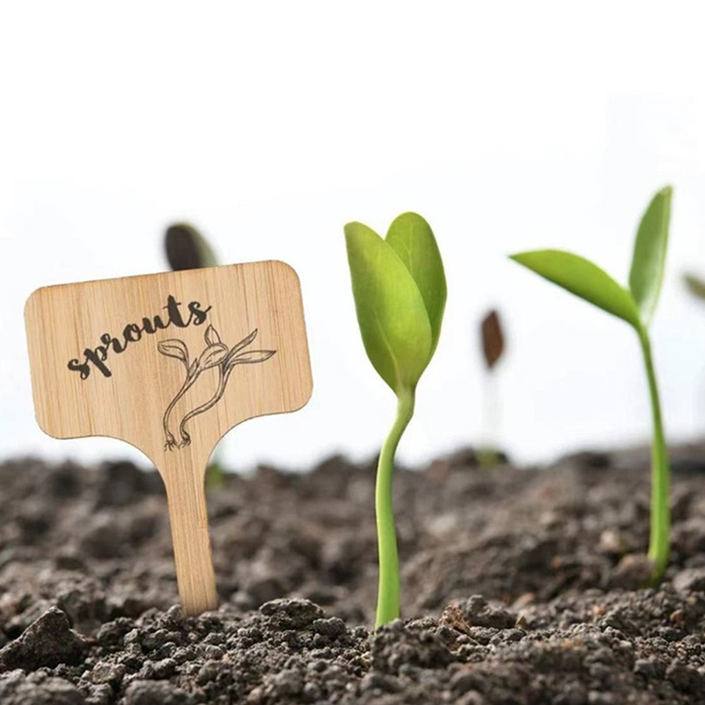 Sada dřevěných zahradních jmenovek k rostlinám 10 ks