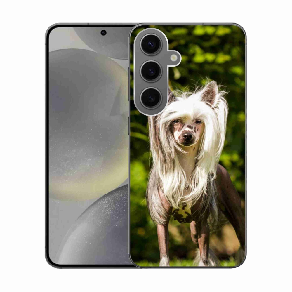 Gelový kryt mmCase na Samsung Galaxy S24 - čínský chocholatý pes