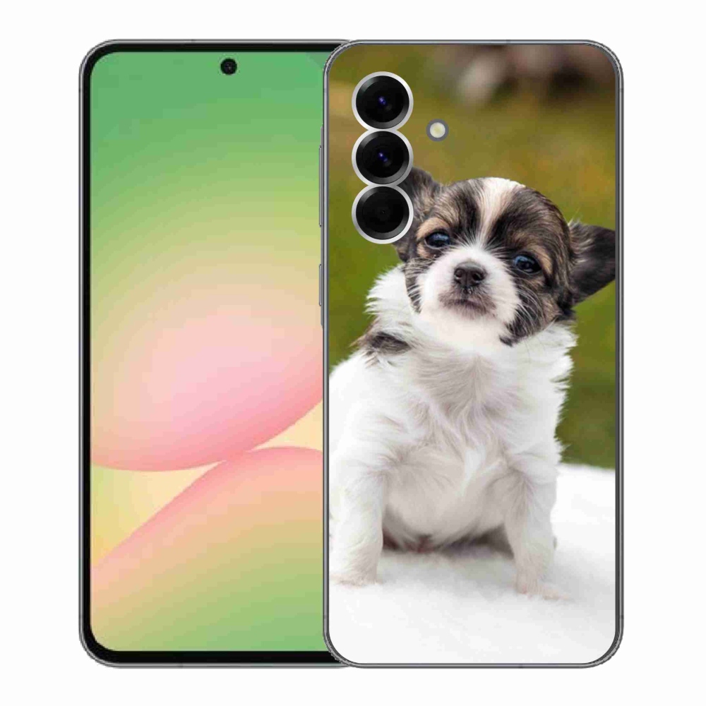 Gelový kryt mmCase na Samsung Galaxy A56 5G - čivava 4