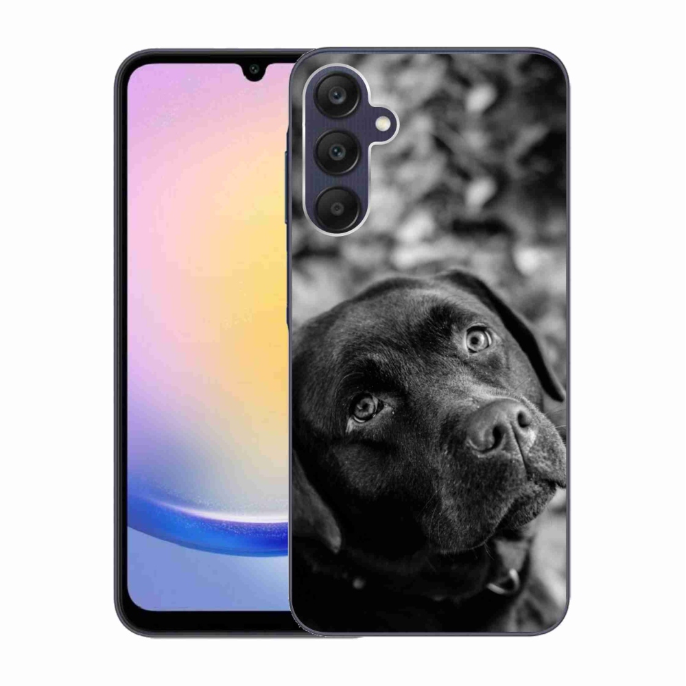 Gelový obal mmCase na Samsung Galaxy A25 5G - labrador
