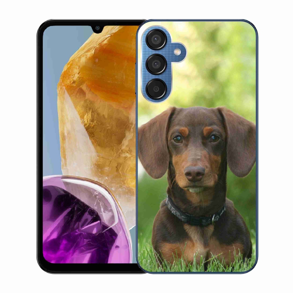 Gelový obal mmCase na Samsung Galaxy M15 5G - hnědý jezevčík