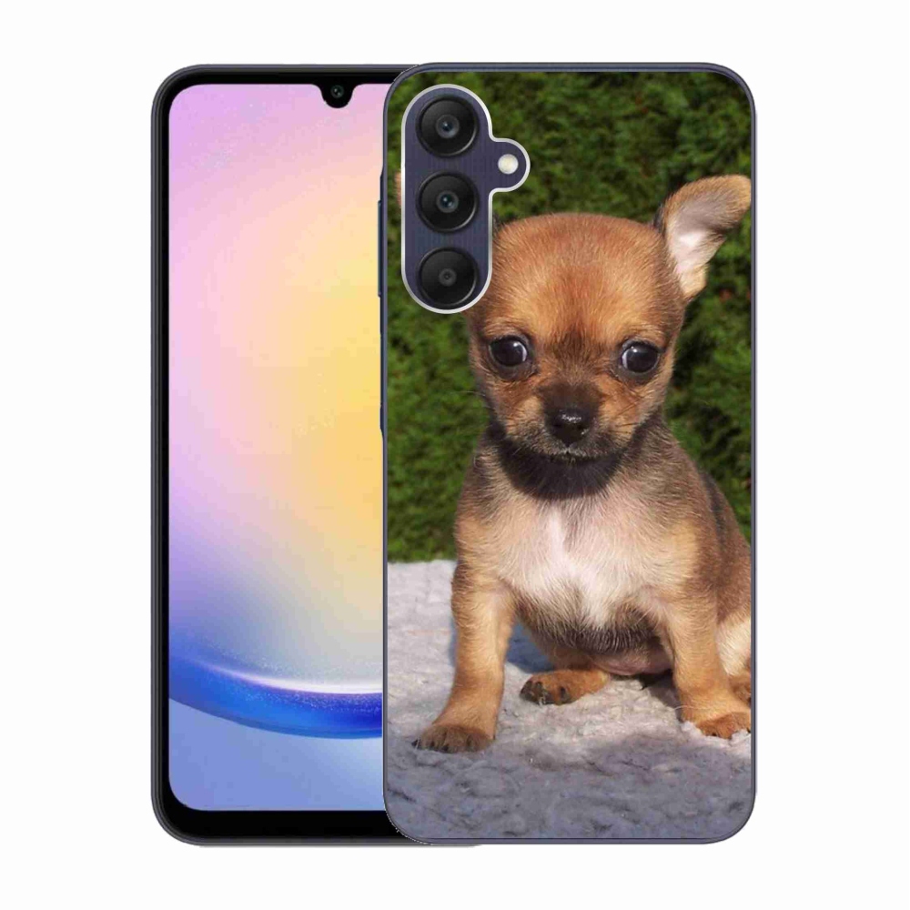 Gelový obal mmCase na Samsung Galaxy A25 5G - čivava 3