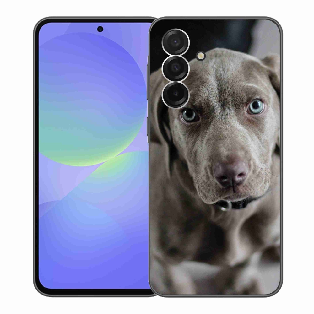 Gelový kryt mmCase na Samsung Galaxy A36 5G - výmarský ohař