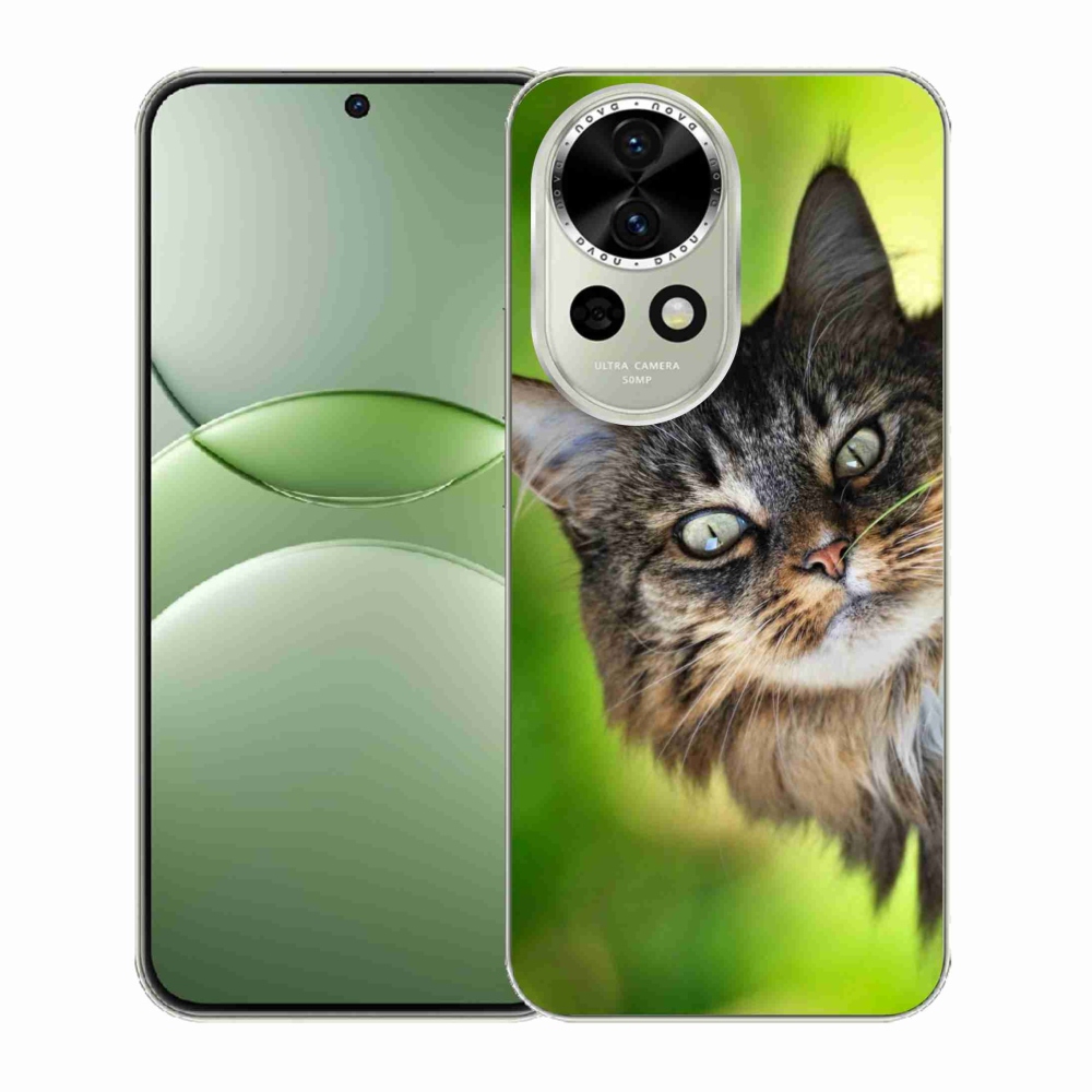 Gelový kryt mmCase na Huawei Nova 13 5G - kočka 3