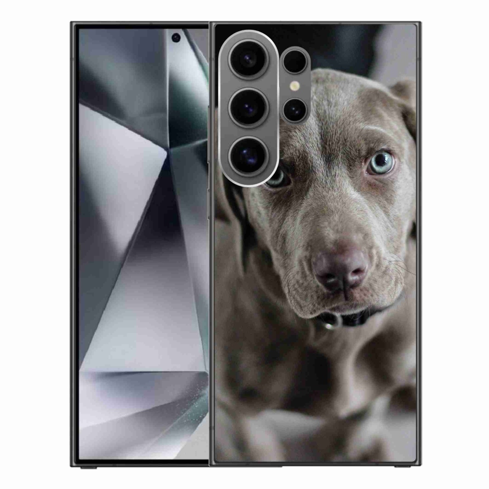 Gelový obal mmCase na Samsung Galaxy S24 Ultra - výmarský ohař