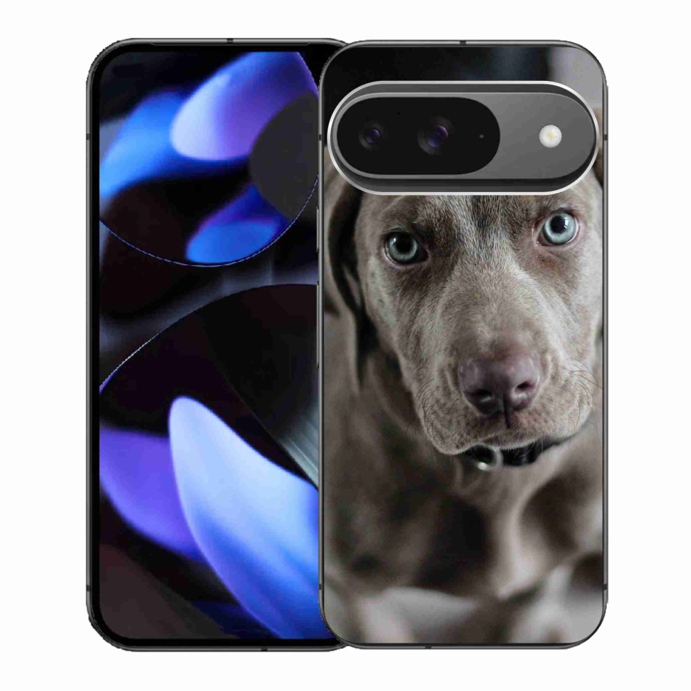 Gelový obal mmCase na Google Pixel 9/9 Pro - výmarský ohař