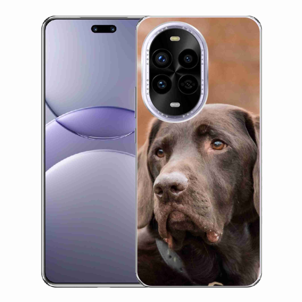 Gelový kryt mmCase na Huawei Nova 13 Pro 5G - hnědý labrador