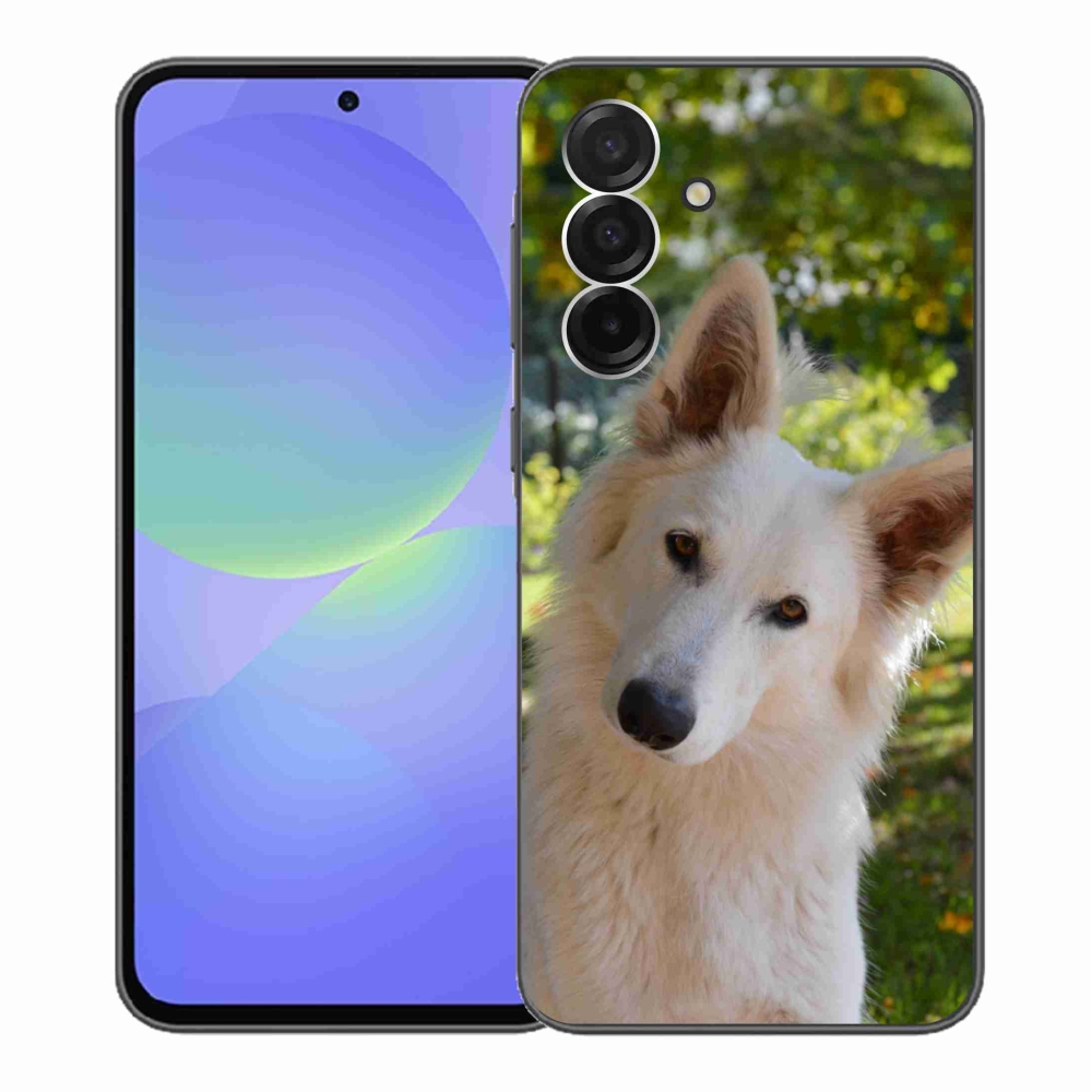 Gelový kryt mmCase na Samsung Galaxy A36 5G - bílý švýcarský ovčák 1