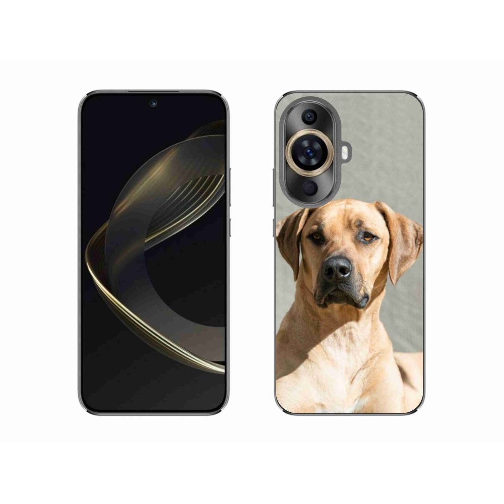 Gelový kryt mmCase na Huawei Nova 11 - ridgeback