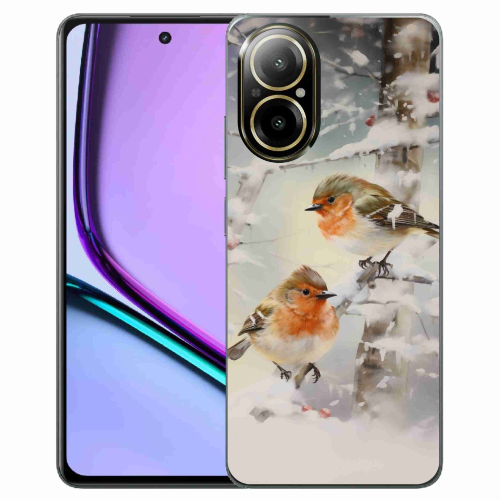 Gelový kryt mmCase na Realme C67 - ptáčci v zimě