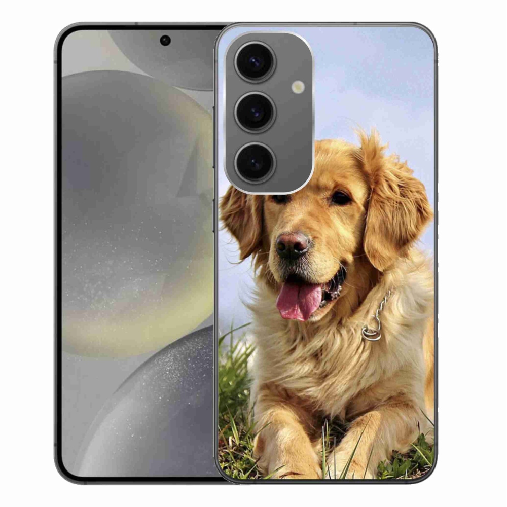 Gelový obal mmCase na Samsung Galaxy S24+ - zlatý retrívr