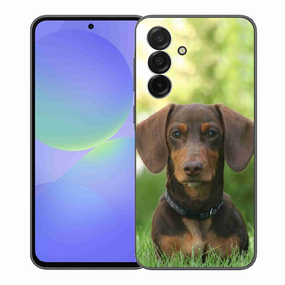 Gelový kryt mmCase na Samsung Galaxy A36 5G - hnědý jezevčík