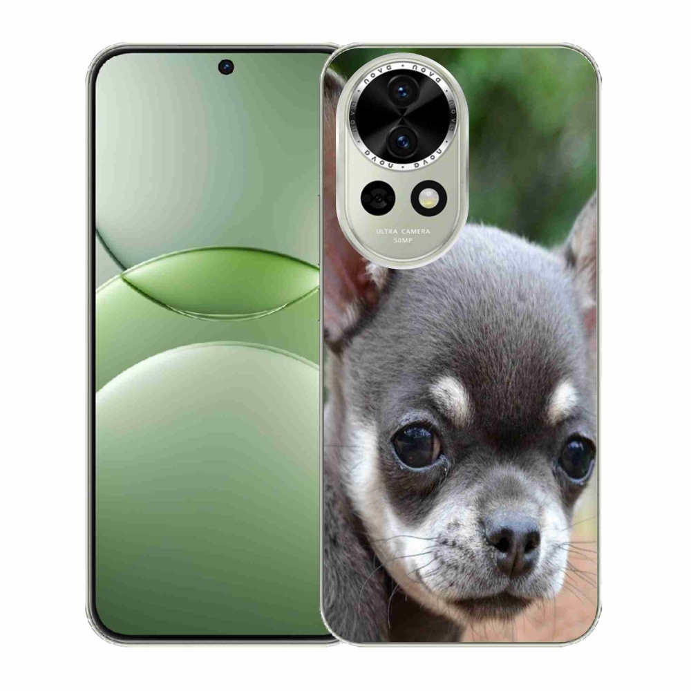 Gelový kryt mmCase na Huawei Nova 13 5G - čivava