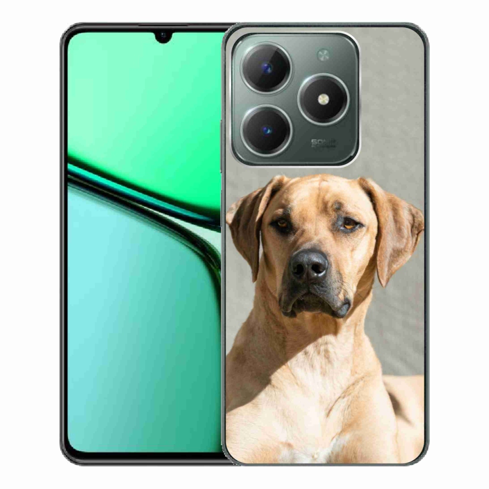 Gelový kryt mmCase na Realme C61 - ridgeback