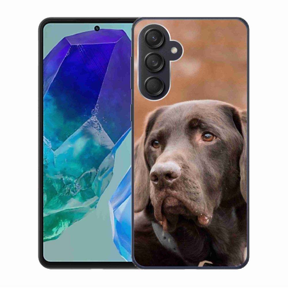 Gelový obal mmCase na Samsung Galaxy M55 5G - hnědý labrador