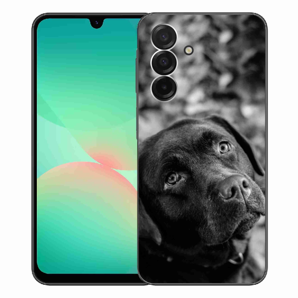 Gelový kryt mmCase na Samsung Galaxy A26 5G - labrador