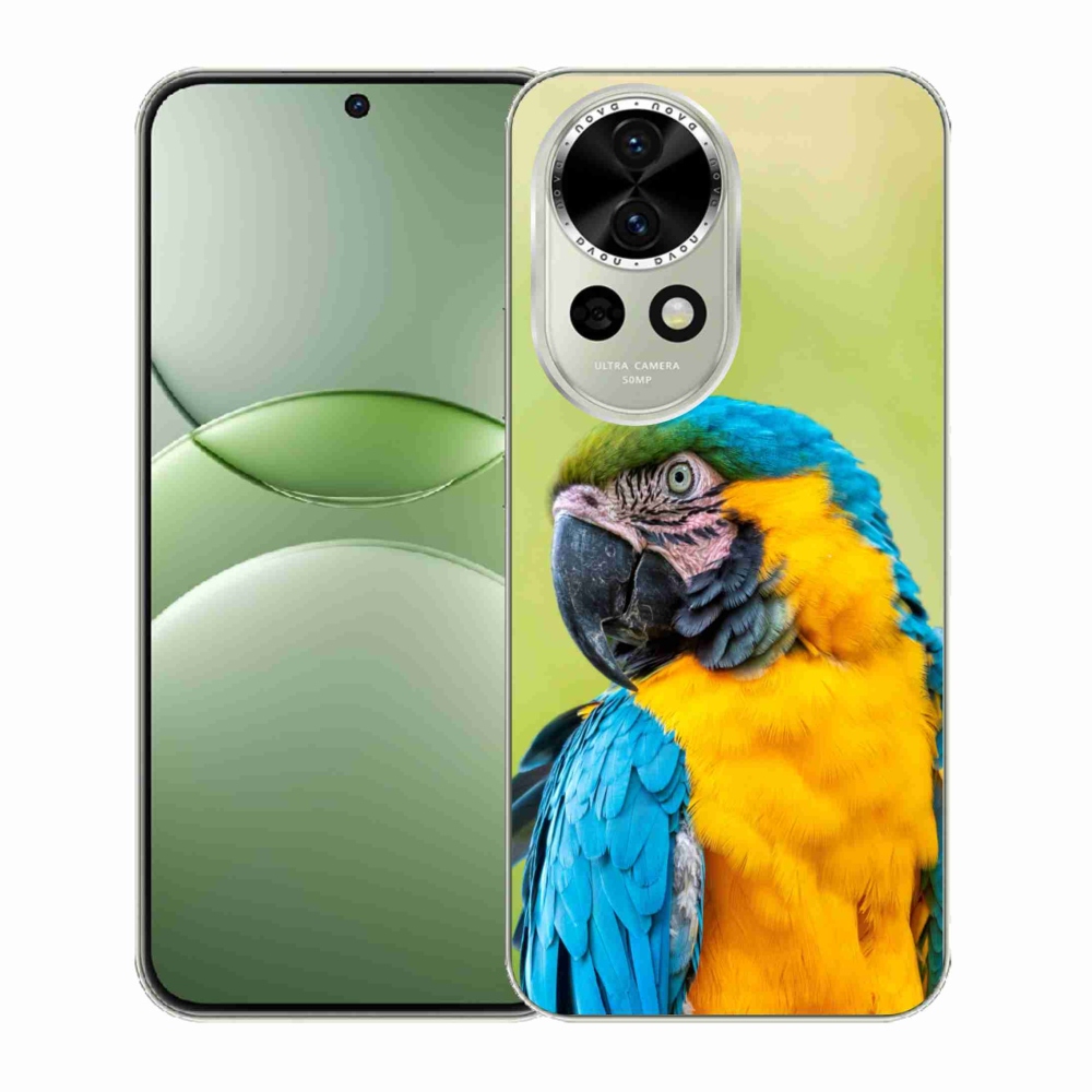 Gelový kryt mmCase na Huawei Nova 13 5G - papoušek ara 2