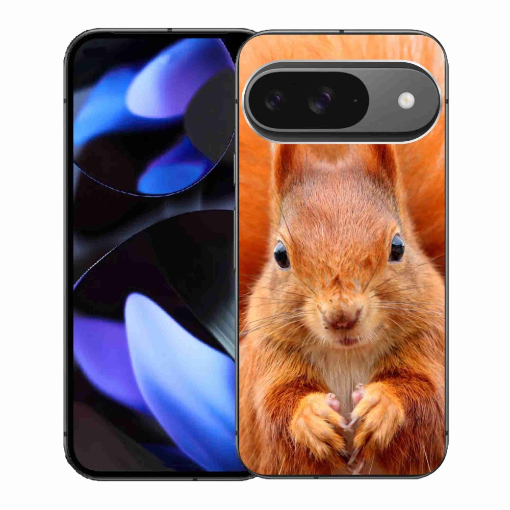 Gelový kryt mmCase na Google Pixel 9/9 Pro - veverka