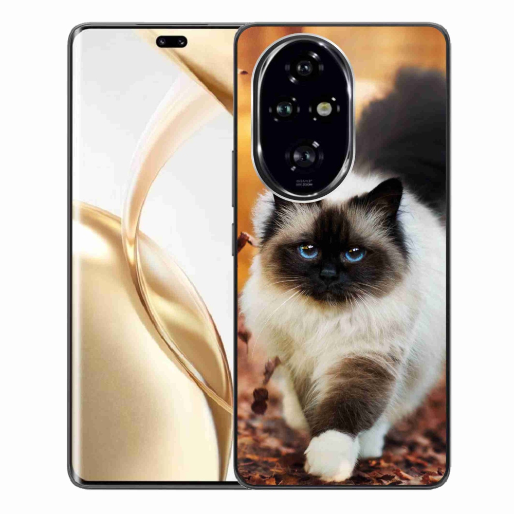 Gelový obal mmCase na Honor 200 Pro 5G - kočka