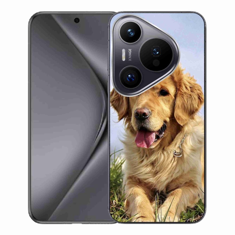 Gelový obal mmCase na Huawei Pura 70 Pro - zlatý retrívr