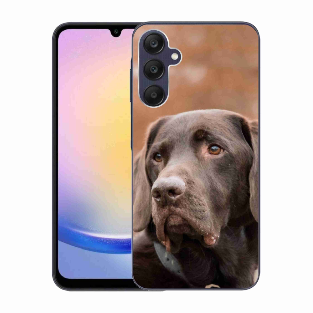 Gelový obal mmCase na Samsung Galaxy A25 5G - hnědý labrador