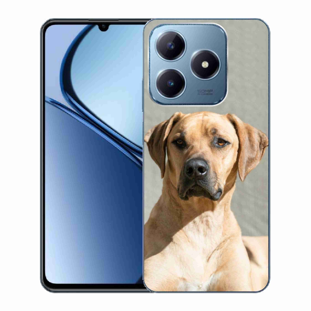 Gelový kryt mmCase na Realme C63 - ridgeback